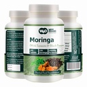 Moringa Tabletit Turmeric ja Black Pepper, 300 pillereitä, 5 kuukauden tarjonta, 150 tarjoilu, 1000 Mg per tarjoilu. Yksi kapseli useita etuja - tukee digestiivinen terveys (paketti 1)