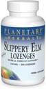 SUUNNITELMA HERBALS Liukas jalava Lozenges, Mauttomat, 200