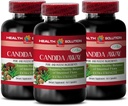 Immuniteetti tuki täydentää - Candida Away Plus - Candida Ruoansulatus - Candida Cleanse Extra vahvuus - Ruoansulatuskanavan pilleri - Candida Cleanse naisten ja miesten - Candida Ylikasvu - 3 pulloa 180 kapselia