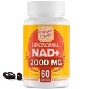 2000 MG NAD- täydennysosa, liposomaalinen NAD+, korkea imeytyminen, tehokkaampi kuin Nikotinamidi Ribosidi, Pure & Plus - kiihdytyslisä, ikääntyvä puolustus, aineenvaihdunta & solua, 60 pehmogeeliä