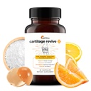 UpWellness Cartilage Revive + Joint Support Supplement for Men and Women with type II Collagen for joints - D-Glukosamiini Sulfaatti, MSM, D3-vitamiini C ja enemmän - 60 kapselia