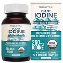 Organic Jodi Supplement from Sea Vaccine Complex, Whole Food & Raw Form - Jodine Plus Trace Mineral Complex ... Sisältää puhtaimman Iceland Sea Kelpin, Irish Moss & Brack (250 mikrog)