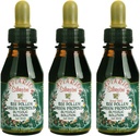 3 pullot Apiario Silvestre Bee Pollen & Brazil Green Bee Propolis Liquid - Glycolic Extract-Non alkoholiton, vahaton, sokeriton