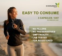Evergreen Yrtti Supplement Herbal Kapselit 90 Count (Senna Leaf) - Tampere Proof Seal varmistaa tuoreutta.