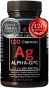 Alpha GPC Supplement & BioPerine Hyper Imeytyminen - 120 Count, Alpha-GPC 600mg per Serving - Nootropic Muisti, Focus, Energy, & Drive - Koliini täydentää Boost Acetylkoliini, Valmistettu Yhdysvalloissa