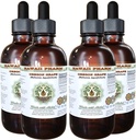 Havaiji Pharm Oregon Viinirypäle alkoholiton nesteuute, Oregon Grape (Mahonia aquifolium) Kuivattu juuri Glycerite Natural Herbal Supplement, USA 4x4 fl.oz