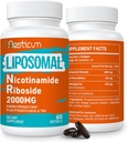 2000 MG Liposomaalinen Nikotinamidi Ribosidi- supplementti TMG & Pterostilbeenin kanssa, korkea hyötyosuus NAD+:n lisäaine, ylivertainen Niacinamidi energialle, immuniteetille, ikäresistenssille, 120 Softgelia