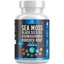 Silicon Sea Moss Musta siemen öljy Ashwagandha rakkorapu Burdock - 60 Count