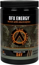 BFX Energy Pre Treenout Powder Supplement (BlackBerry Lemonade) kanssa BCAA, Electrolytes, ja Green Tea Leaf luonnon kofeiini, Intra ja Post Treenout lihasten Recovery, 30 tarjoilua