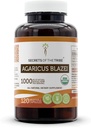 Tribe Agaricus Blazei 120 kapselin salaisuudet, 1000 mg, USDA Organic Agaricus blazei murill kuivattu sieni (120 kapselia)