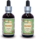 Selfheal (Prunella Vulgaris) Glyseriitti, Luomukuivattu yrtti alkoholiton nesteuute (Brandin nimi: HerbalTerra, ylpeänä valmistettu Yhdysvalloissa) 2x2 fl.oz (2x60 ml)
