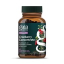 Gaia Yrtit Karpalo konsentraatti - auttaa säilyttämään virtsan Tract terveys - valmistettu luomu karpalo hedelmä mehuuute Käteviä kapseleita - 60 Vegan Liquid Phyto-Capsules (30 päivän toimitus)