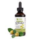 Maxx Herb Olive Leaf Extract ... Max vahvuus Oleuropein Liquid Absorbs Better Than Capsules tai Tea, varten Immuuneja, Heart Health, ja kausittainen hyvinvointi - 4 Oz pullo (60 tarjoilua)