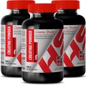 Body Builder miehille - CREATINE Powder 100G - Creatiini Bulk - 3 pullo (Powder)