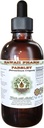 Persilja Alkoholiton nesteuute, Persilja (Petroselinum Crispum) Juuri Glycerite Natural Herbal Supplement, Havaiji Pharm, USA 2 fl.oz