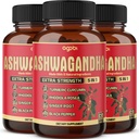 3 pakkausta 60 kapselia - Ashwagandha täydennysosa 5200mg - 5in1 inkivääri, kurkuma, Rhodiola Rosea & Black Pepper - Stamina & Body Health Support - 6-kuukautinen tarjonta