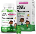 Wild & Organic Irish Sea Moss Gummies for Kids 800mg - Immuuneja tukea rakkoranneke - Vegan Sea Moss Gel Chews yleistä tukea - 60 ei-GMO Seamoss Gemies