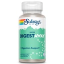 SOLARAY Super Digestiivinen Entsyymit - Haimatulehdus, Papain, Inkivääri, Pepsin, Betaiini HCl, Aloe Vera, ja More - Ruokavalio ja ravinne imeytymistä Tuki - Lab Varmennettu - 90 VegCaps