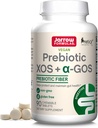 Jarow Formula Prebiootti XOS + GOS Prebioottikuitua, lisä Gut tukea, 90 pureskeltava Gut Health Tabletit, 30 päivän toimitus