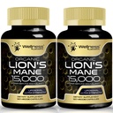 Lions Mane Supplement Kapselit - 120 Count - Sieni Supplement, Aivolisäkkeet muistia ja keskittyä, Leijonan Mane Sieni Kapselit - Kognitiivinen & Immuunituki, Focus Supplement - 2 Pack