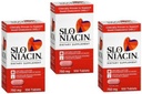 SLO- NIACIN Ravintolisä kerran päivässä ja 750 mg Niasiini- B-vitamiinia Nikotinic Acid korkeaa imeytymistä varten 100 tablettia per pullo 3 pakkaus
