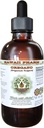 Oregano Alcoal-Free Liquid Extract, Organic Oregano (Origanum vulgare) Kuivattu Leaf Glycerite Natural Herbal Supplement, Havaiji Pharm, USA 4 fl.oz