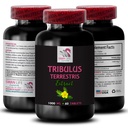 Stamina Power - TRIBULUS TERRESTRIS EXTRACTS - Energy for Activity, Energy Support Formula, Active Energy Support, Plant-Based Energy Boost, Activity Power, Aktiivinen harjoittelu Boost 1 pullo 60 tablettia