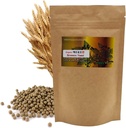 Natural Organic Brewer's Hiiva pilleri ... 3.52(100g) / Lisäravinteet Immuunin tuki & Nainen & Mies