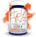 Nootropics Depot GS15-4 Panax Ginseng Extract kapselit 