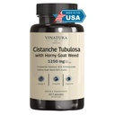 VINATURA Cistanche Horny Goat Weed 60% Icariin - 1250 mg per Serving, Cistanche Tubulosa, Cistanche Supplement Miehet, energia, vahvuus Kognitiivinen *USA Valmistettu ja testattu * - 60 kapselia 30 tarjoilua