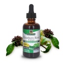 Luonnon vastaus Alkoholiton Eleuthero Root, 2-Fluid Ounces 